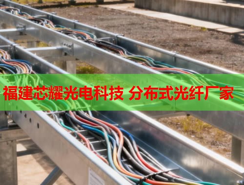2026年福建芯耀科技:哈爾濱分布式光纖技術(shù)領(lǐng)先品牌 2026年福建芯耀科技:哈爾濱分布式光纖技術(shù)領(lǐng)先品牌