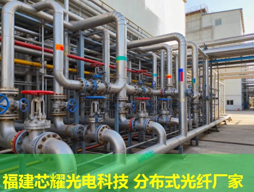 福建芯耀科技，滄州分布式光纖光柵2026年領航品牌