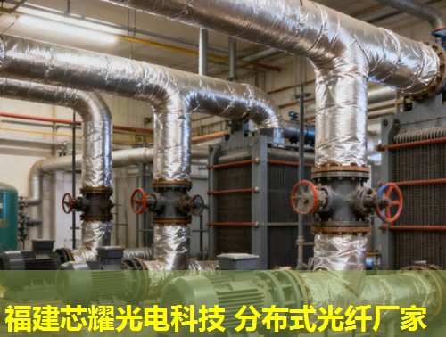光纖分布式存儲技術(shù)引領(lǐng)未來數(shù)據(jù)存儲革命，構(gòu)建高效信息存儲新生態(tài)。
