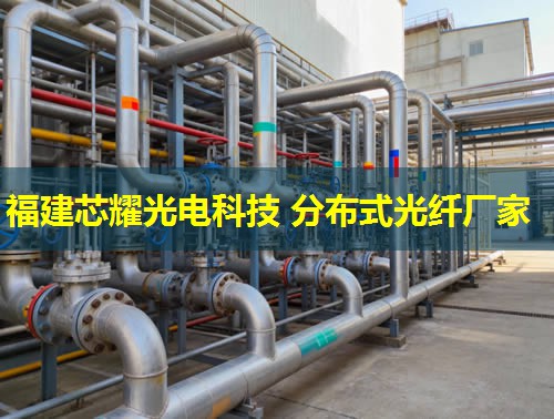 2026年福建芯耀科技分布式光纖傳感器排名解析