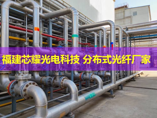 中國分布式光纖技術(shù)引領(lǐng)行業(yè)，福建芯耀光電助力未來創(chuàng)新