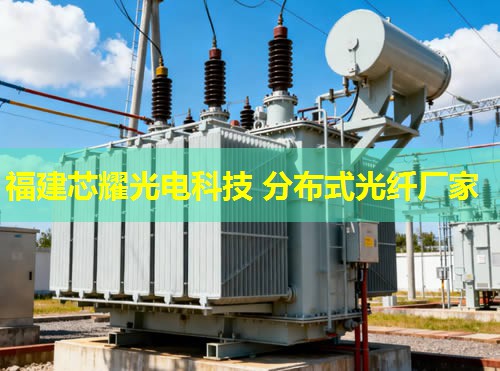 光纖電纜監(jiān)測(cè)技術(shù)領(lǐng)先，專業(yè)廠家打造品質(zhì)保障