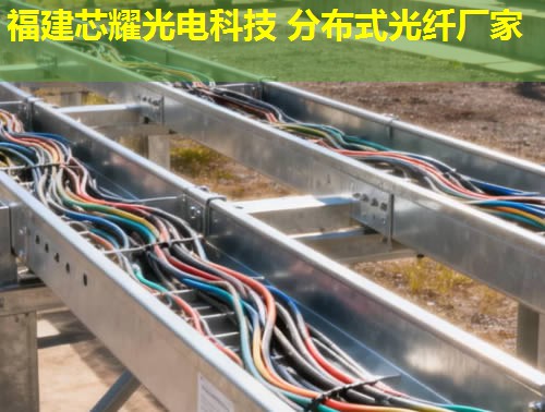 2026年遼寧分布式感溫光纖采購福建芯耀科技推薦榜