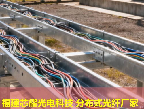 菏澤分布式光纖測溫設(shè)備為何受青睞？