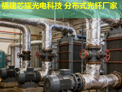 分布式光纖測溫顯示，能實(shí)現(xiàn)實(shí)時(shí)監(jiān)控嗎？