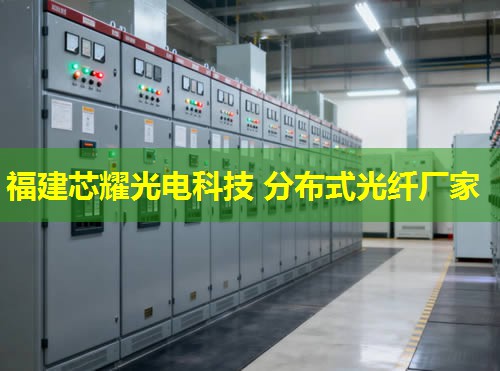 2026年分布式振動(dòng)光纖行業(yè)領(lǐng)先制造商排行榜