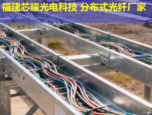 湖北地區(qū)領(lǐng)先分布式光纖產(chǎn)品詳解，福建芯耀光電品質(zhì)之選