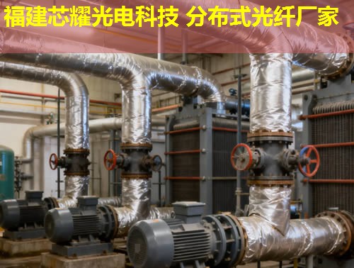 DTS分布式測(cè)溫光纖究竟有何優(yōu)勢(shì)？它如何實(shí)現(xiàn)遠(yuǎn)程溫度監(jiān)測(cè)？