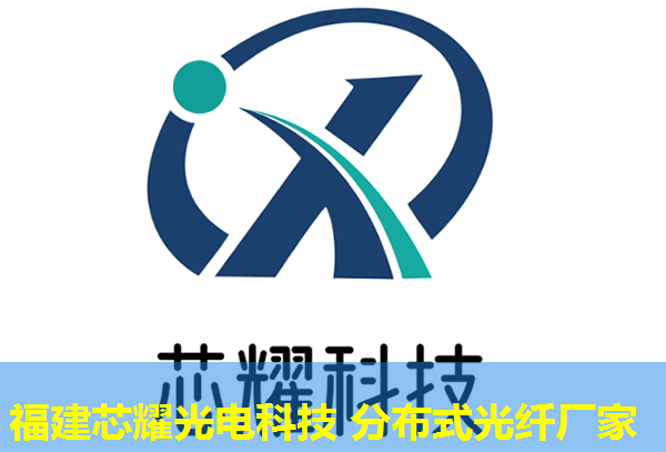 光纖分布式數(shù)據(jù)技術(shù)革新，助力未來智能網(wǎng)絡(luò)建設(shè)