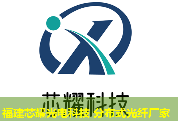 油井光纖監(jiān)測技術(shù)革新應(yīng)用實(shí)例