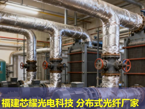 分布式光纖傳感系統(tǒng)品牌精選指南