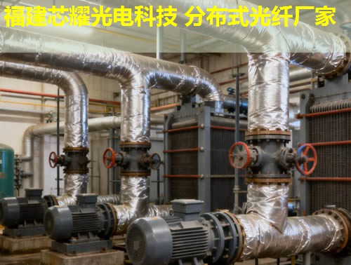 內(nèi)蒙地區(qū)如何高效利用分布式光纖測(cè)溫電纜？這項(xiàng)技術(shù)有何獨(dú)特優(yōu)勢(shì)？
