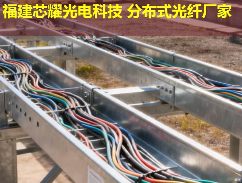 2026年光纖分布式振動(dòng)檢測(cè)技術(shù)排行榜推薦